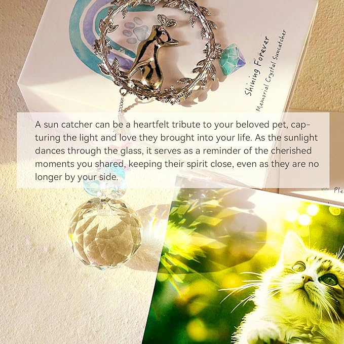 Cat Memorial Suncatcher - Lost of Cat Bereavement Gift Idea, Cat Loss Sympathy Gifts, Pet Memorial Gifts, Thoughtful Cats Remembrance Sun Catcher, Passing Away Remembrance Memory Gift