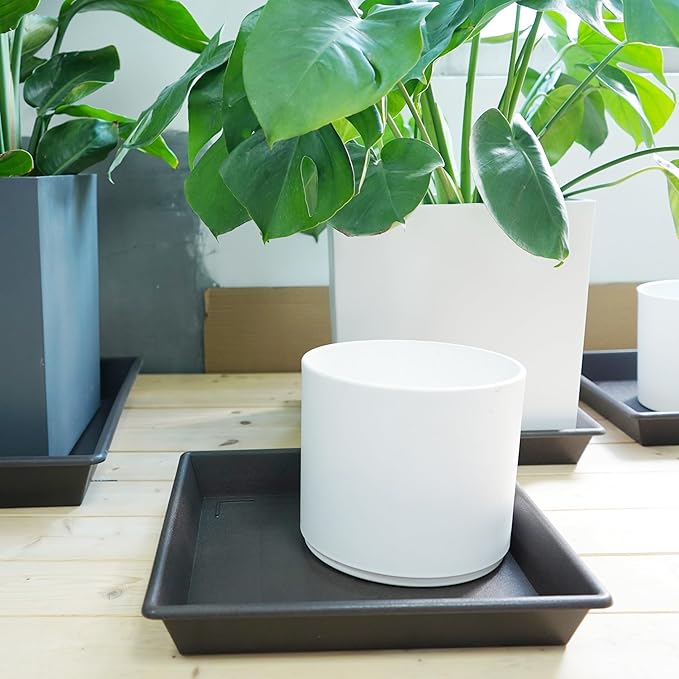 Square Plant Saucer 14 Inch 2 Pack，Plant Stand Plant Trays for Pots Heavy Duty Plastic Plant Saucers for Indoors Outdoors, Flower Pot No Holes Plant Lover Gardening Gifts