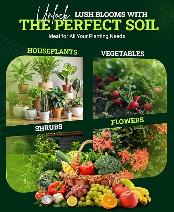 FoxFarm Happy Frog Potting Soil, 12qt – for Indoor/Outdoor Container Plants, Improves Root Efficiency, pH Adjusted for Optimal Nutrient Uptake – Contains Microbes and Humic Acids (Pack of 2)