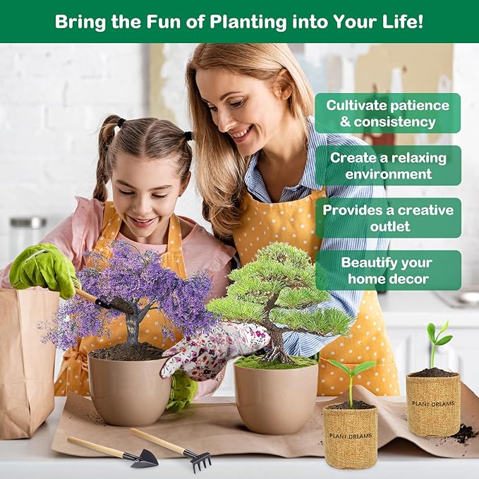 Bonsai Tree Kit, Bonsai Starter Kit for Growing Bonsai Plants with Tools, Grow Bonsai Tree Live Indoor, Garden Crafts Hobby Kits, Unique DIY Gardening Gifts for Men Women Mother