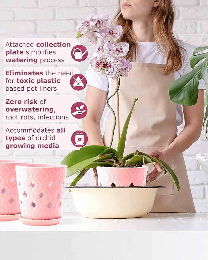 Whispering Winds Ceramic 5 x 6 Inch Orchid Pot with Holes & Saucer for Aeration and Drainage - Decorative Orchid Pots for Repotting, Prevent Over Watering & Root Rot (Cavern Pink)
