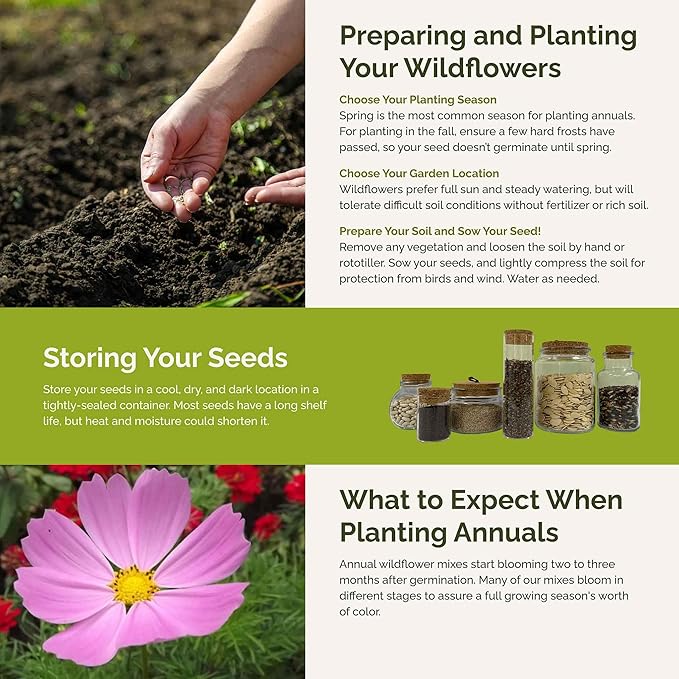 Eden Brothers Tickled Pink Flower Mixed Seeds for Planting, 1/4 lb, 120,000+ Seeds with Cosmos, Cornflower, Zinnia | Attracts Pollinators, Plant in Spring or Fall, Zones 3, 4, 5, 6, 7, 8, 9, 10