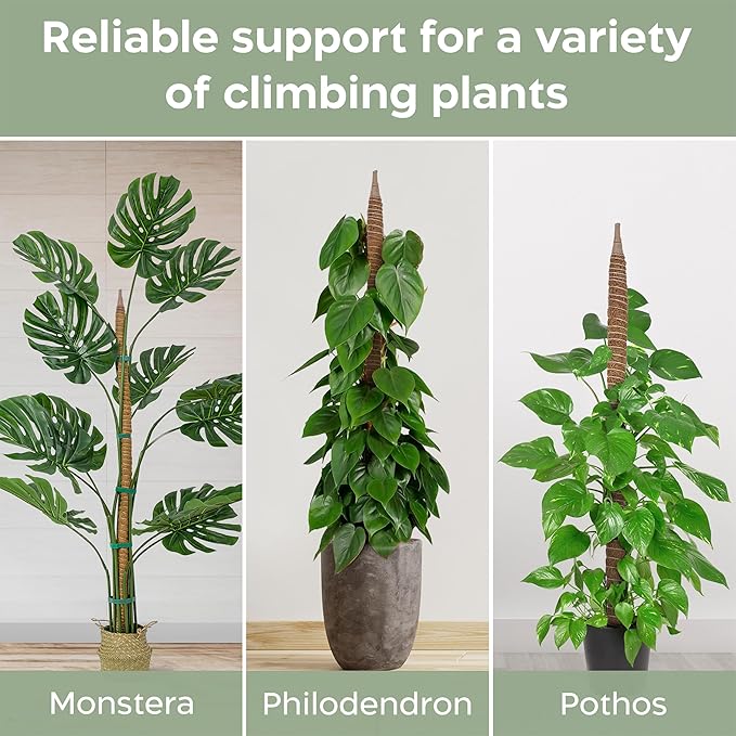2 Pack 63'' Bendable Moss Pole Monstera Plant Support for Climbing Indoor Plants - Stakes for Potted Climbers - Tall Sticks Indoor Trellis for Houseplants - Accessories for Monstera Pot