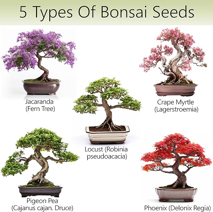 Bonsai Tree Kit – 5X Unique Japanese Bonzai Trees | Complete Indoor Bonsai Starter Kit for Growing Bonsai Plants with Tools & Planters – Gardening Gifts for Women & Men