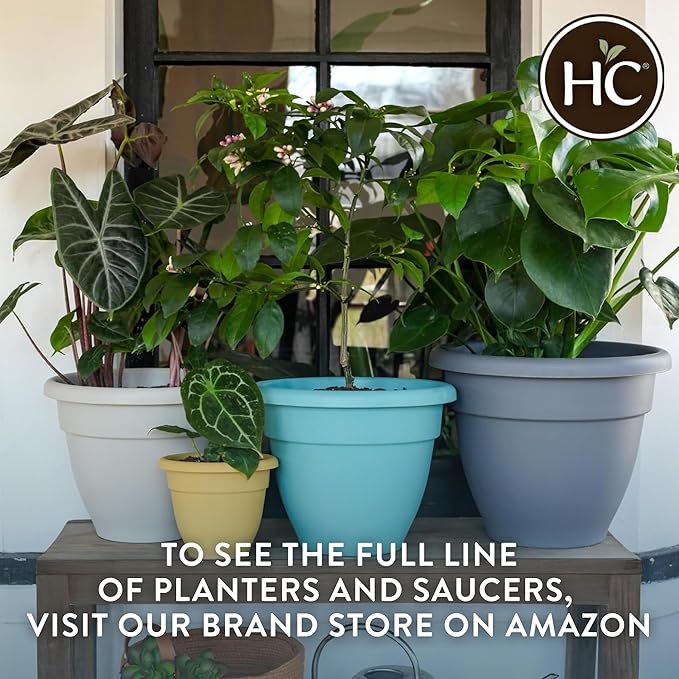 The HC Companies Caribbean Planter Pot - Outdoor & Indoor Plant Pot with Drainage Hole & Plug - Rolled Rim Plastic Pots for Plants & Flowers - Decorative Plant Pot (10" Clay, Pack of 2)