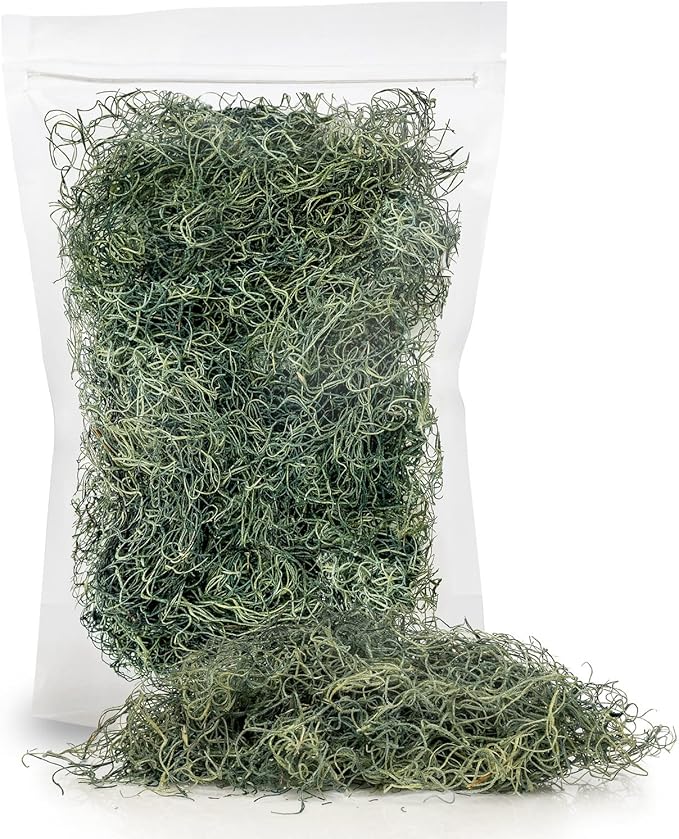 Premium Spanish Moss in Basil| Natural Preserved - Great Ground Cover - Filler for Potted Plants - by GARDENERA - 4 Quart Bag