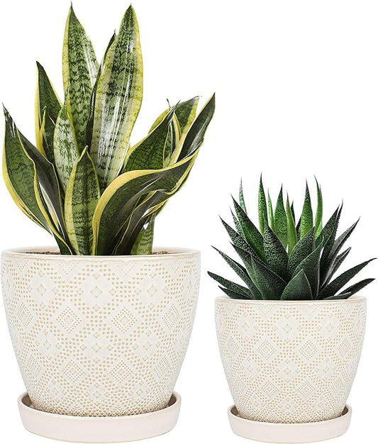Docrin Ceramic Plant Pots Indoor: 6.6 + 5.5 Inch Planters with Drainage Holes and Saucer for Home/Office - Set of 2 /White