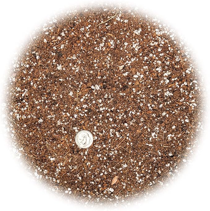 Professional Carnivorous Plant Soil - Ready to Use for Venus Flytraps, Sundews, Pitcher Plants, Butterworts | Peat Moss, Coco Coir, Perlite - 5 Quart Bag