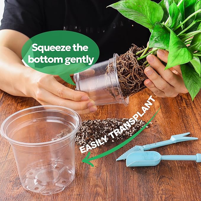 30 Packs 5 Inch Reinforced Clear Nursery Pots with Drainage Hole, Transparent Variety Pack Plastic Plant Pot Seedling Planter Seed Starter Flower