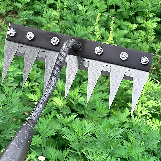 Gardenia Iron Weeding Rake, Iron Rake 2.0 for Gardening and Weeding, Detachable Double-Edged Blade Design Carbon Steel Heavy-Duty Weed Rakes,Hand Weed Puller Tools for Lawn Yard Garden Farm (6 teeths)