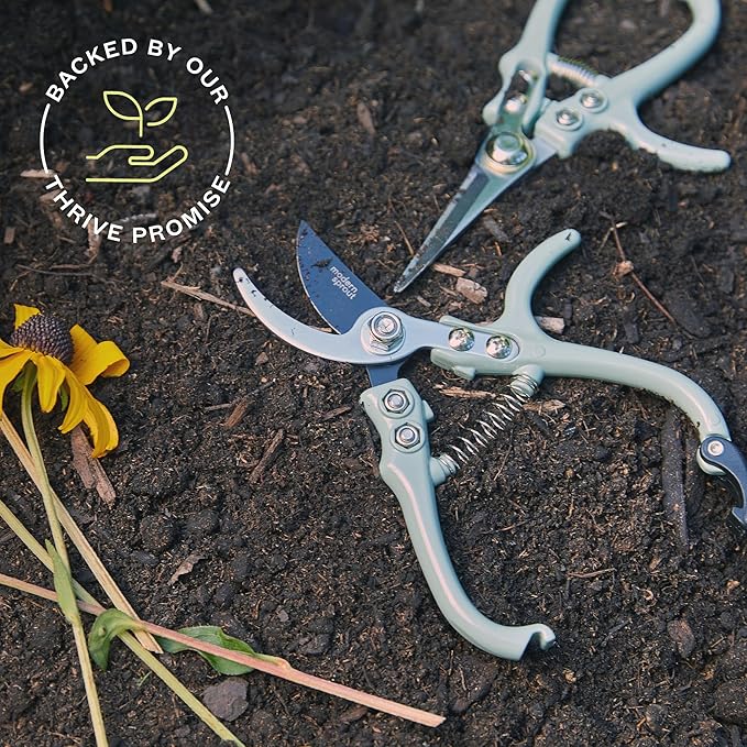 Modern Sprout Hand Pruners & Shears Set - Lightweight Gardening Tools W/Easy Lock - Sharp Carbon Steel Blades -Rust Resistant Scissors for Herbs, Flowers - Reusable Holster - Ocean