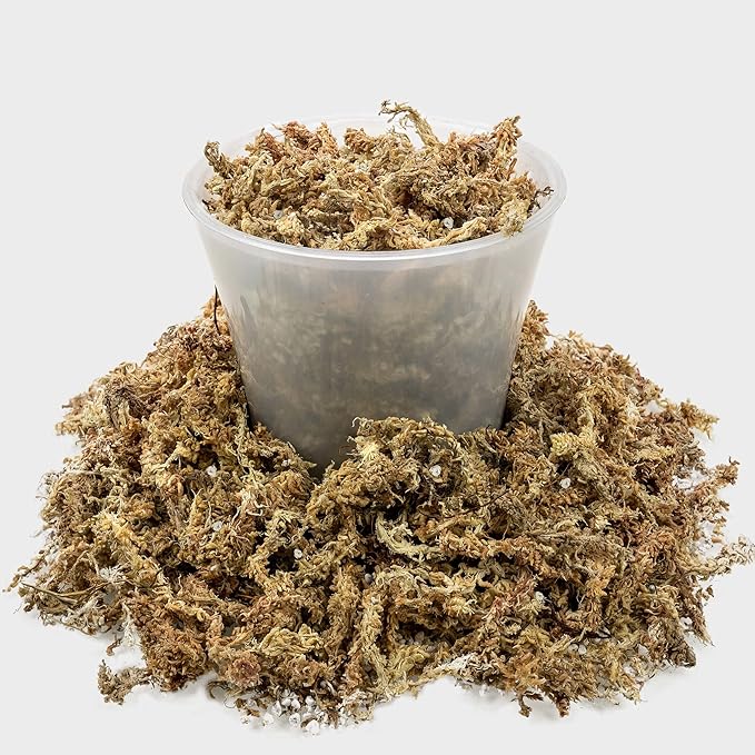 Sphagnum Moss Potting Mix for Carnivorous Plants - 10 Quart - Moss and Perlite Blend for Potting Venus Fly Traps, Sarracenia, Pitcher Plants (2 Bags of 5QT)