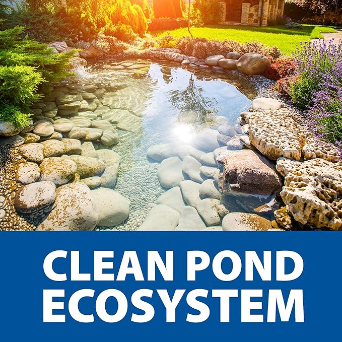 The Pond Guy Seasonal Defense, Spring & Fall Beneficial Bacteria, Barley & Enzymes, Cold Water Pond Sludge & Scum Treatment, Fish & Plant Safe, 12 Packets