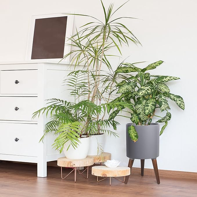 D'vine Dev 10 Inch Planter Pot with Stand, Mid-Century Tall Plant Pot with Legs for Indoor Plants, Medium, Grey, 88-O-B-3
