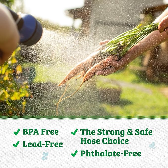Back to the Roots Kink Resistant, BPA-Free Garden Hose, 50ft