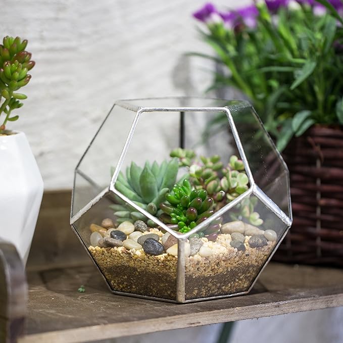 NCYP Small Silver Glass Geometric Terrarium for Succulents Air Plants, 6.89 x 6.89 x 5.9 Inches, Indoor Home Garden Planter Pot, Tabletop Decor Centerpiece, Handmade (Only Terrarium)