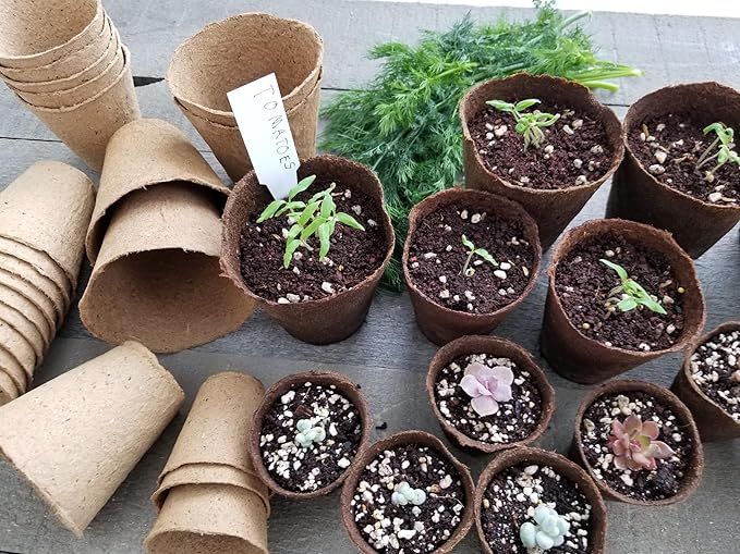Daniel's Plants 3" Naked Pots | Natural Plantable Seed Starter Pots | OMRI-Listed Biodegradable Pots for Seedlings | Enhanced Drainage & Aeration | Earth Friendly - Peat Free | 16 Pack 3 Inch Round
