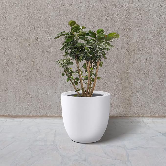 Kante 14 Inch Dia Round Concrete Planter, Indoor Outdoor Large Plant Pot with Drainage Hole and Rubber Plug for Home Patio Garden, Pure White